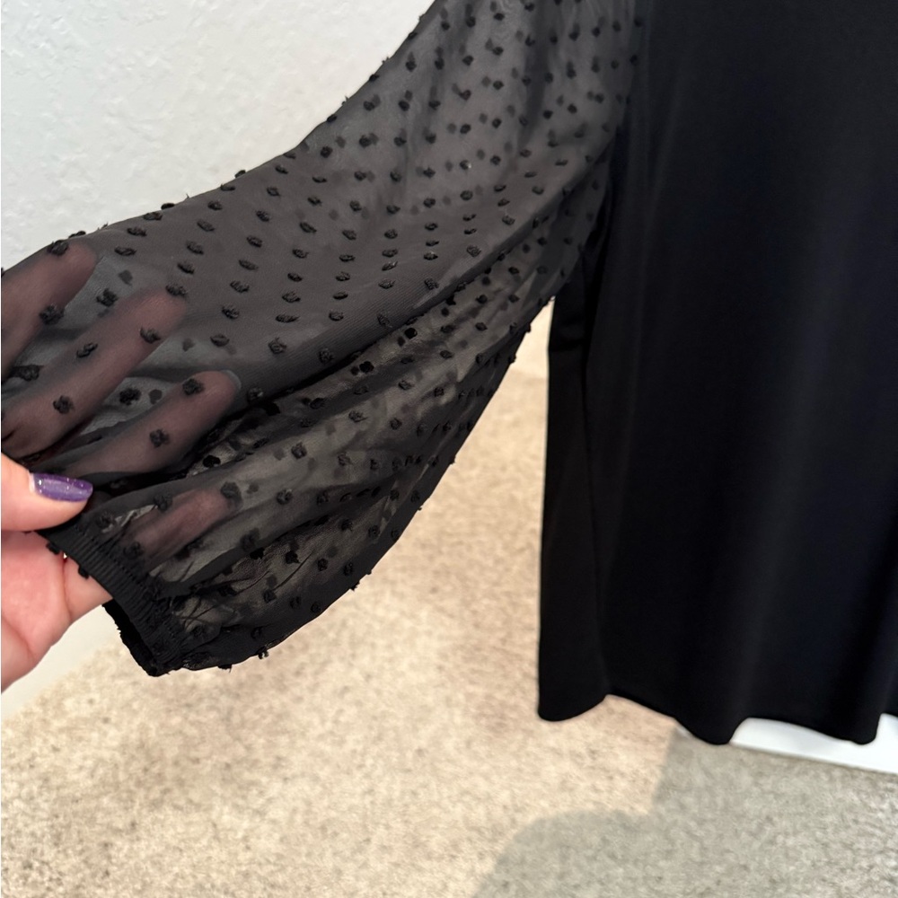 GORGEOUS AND NEW! Black Blouse with Sheer Sleeves Which Has Beautiful Design